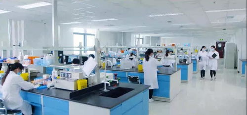 350余家企業(yè)獲補(bǔ)貼約10億元 點(diǎn)贊北京經(jīng)開區(qū)這波惠企政策紅利