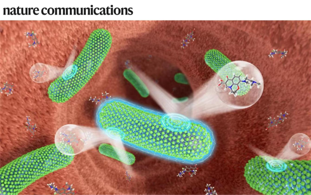 專訪郭俊凌丨川大/哈佛團隊合作開發(fā)植物多酚納米材料,可保護益生菌免受抗生素殺傷,相關(guān)LBP活體生物藥計劃推進(jìn)臨床I期