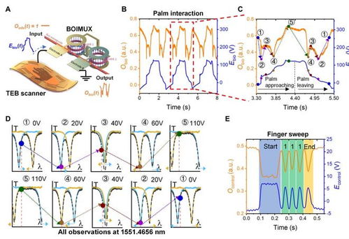 巧妙結合集成光子芯片和摩擦電技術,新加坡國立大學團隊研發(fā)高速通信基礎設施的生物識別保護技術