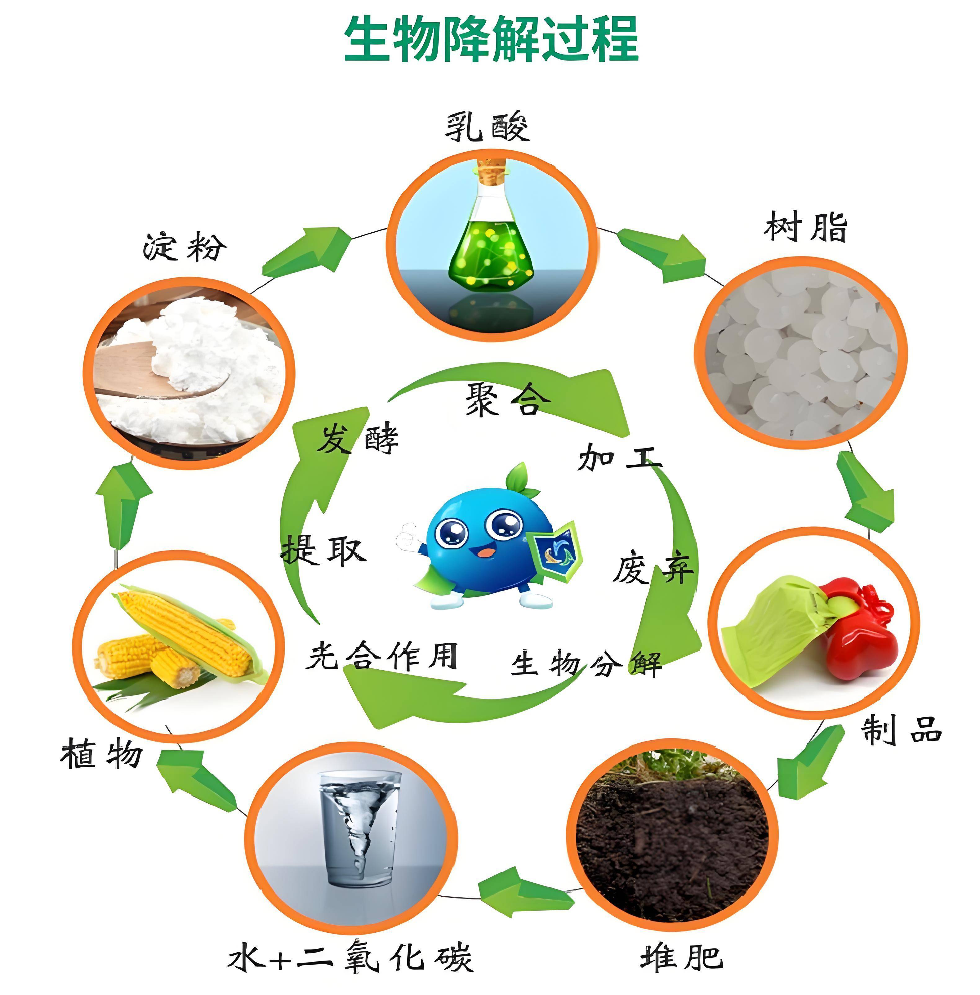 生物基材料&ne;生物降解材料:深入剖析兩大環(huán)保材料的本質差異與關聯(lián)